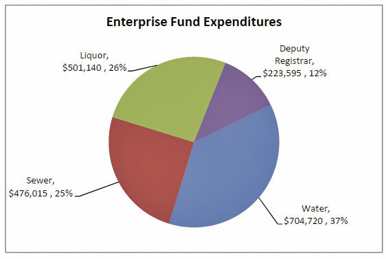 MLCC 2020 Levy & Budget FINAL Enterprise Fund Exp PIE.jpg